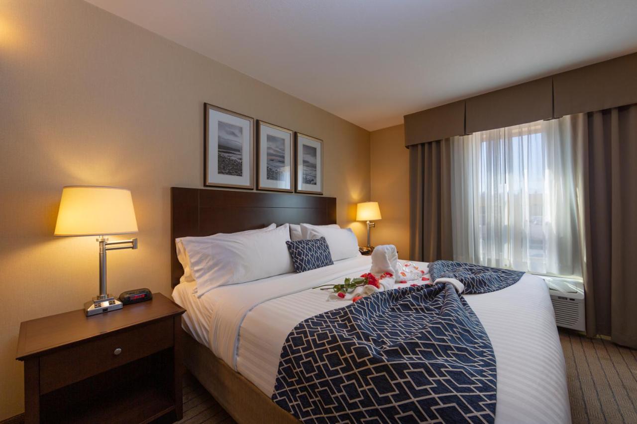 Bayview Hotel Courtenay Dış mekan fotoğraf